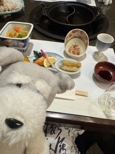 栃木の温泉きたで♨️