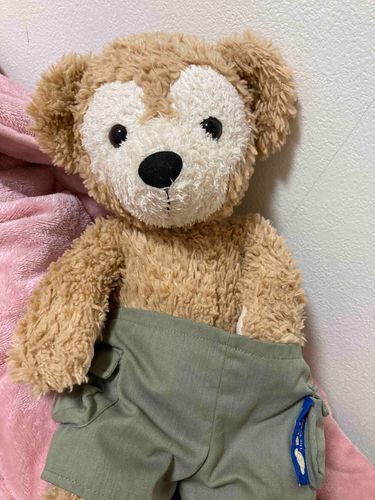 ダッフィーがズボンに手突っ込んでる😳どうしたw
