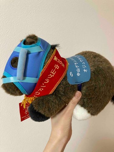 ４月には毎年中山競馬場で中山グランドジャンプが開催〜！

2022年にオジュウチョウサンのラスト中山グランドジャンプを見た！✨🐴🐎