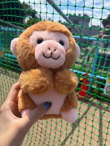 パンチくんの市川市動植物園✨
ニホンザルぬいぐるみ