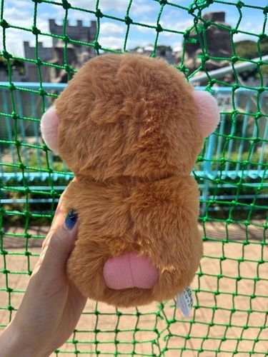 パンチくんの市川市動植物園✨
ニホンザルぬいぐるみ後ろ姿