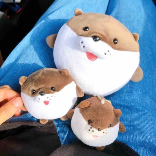 小さいのと大きいのもいるんだよ