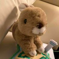 はこだて　ちびた
