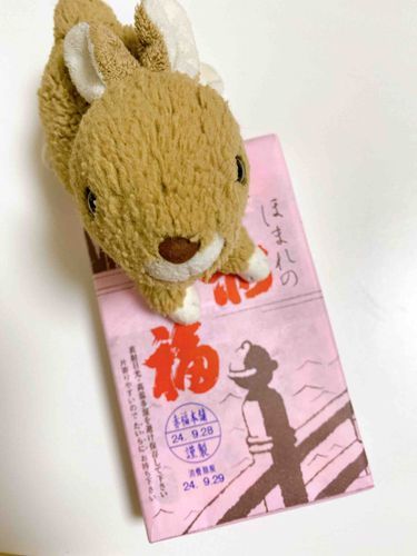 かいぬしが りょこうのおみやげ くれたちび！