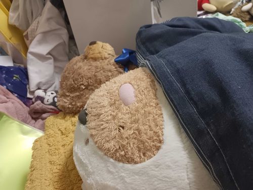 みんなでお昼寝‼️
