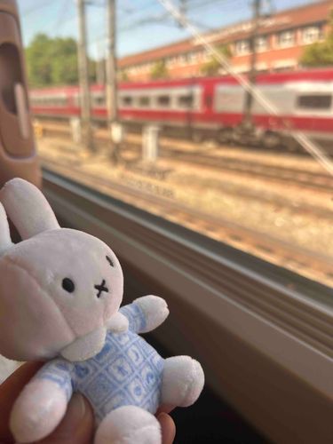 今日は電車で旅〜
ワクワクどんな風景があるのかな
この瞬間いいね✨