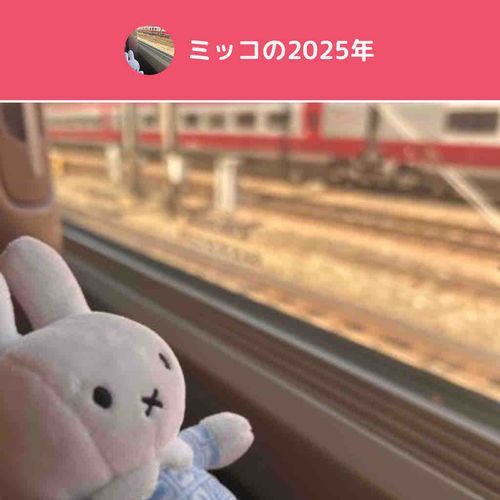 旅行の一枚しか投稿できなかった💦
来年はもっと旅行したいな〜✨