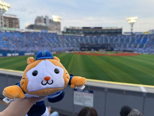大好きな野球観戦にきたよ⚾️
ガルフェスなんだって🐹
ワクワクだぁ〜