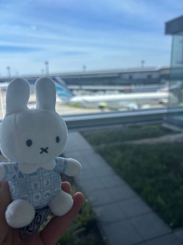 旅行にいくよ✈️
飛行機を見てるとワクワクしちゃう
どんな景色が待ってるかな❣️