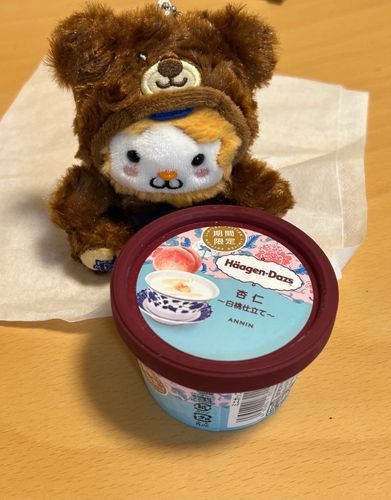 期間限定の杏仁味をゲット🍨
今日は疲れたから、ご褒美に食べるのだ✨
明日からも頑張るのだ🐹