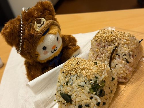 🍙専門店で買ってきたのだ〜🐹
玄米で栄養満点✨
