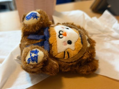 今日はもう疲れたのだ
早く寝るのだ🐹💤