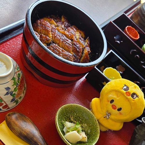 ひつまぶしを 食べました
とてもおいしかったです
お茶漬けにして食べるのが
個人的に一番好きでした ˶ᵔᢦᵔ˶