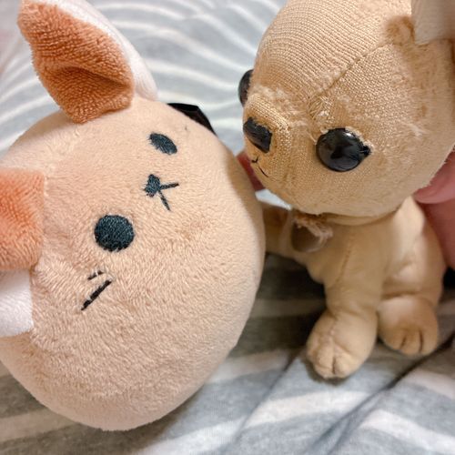 「プリン姉さんは私の悩みを親身に聞いてくれるんだけどね、アドバイスはしすぎないの。優しく包んでくれるようなねえねよ。」