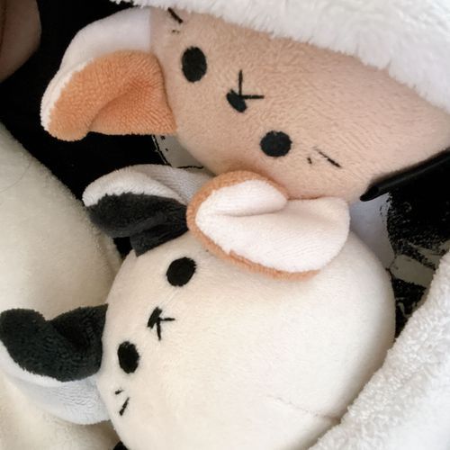 「みんな、ゴールデンウィークはいかがお過ごし？私はねえねとごとーとゴロゴロしてるわ。至福の時間よ。」
『あまいたびたい…』