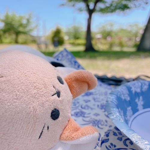 「昨日はバラ園で寛いできたわ。
木陰が涼しくて寝転ぶにはちょうどよかったの。」
