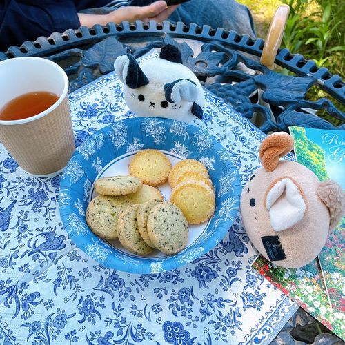 「これはねえねとかあかとクッキーを食べた時の写真よ。アイスティーが暑い日にはちょうどいいわ。」
『あまいいっぱい！！！ごちクッキーすき！！』