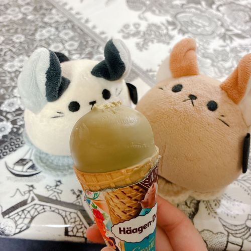 『ごちゃにはちょとおとななの』