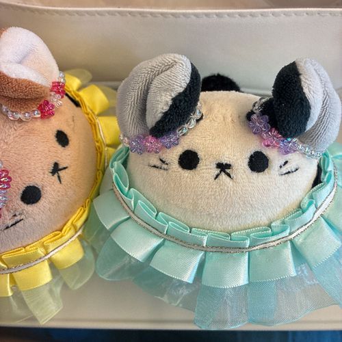 「ねえねが新しいお衣装作ってくれたの。ミッチーのtake it Rosyに合わせてブルーとイエローのローズなお衣装にしてもらったの」
『ﾌﾝｽｯ』