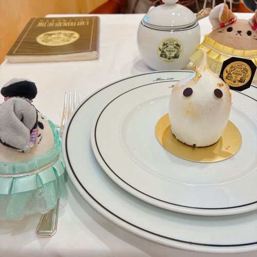 「ライブ前にマリフレに行った時の写真よ。これはファントムドゥオペラのお茶を使ったメレンゲのケーキ。バラの紅茶と美味しくいただいたわ。
そろそろ眠くなってきたし最近の話題はここまでにしておくわ。
みんなおやすみなさい」