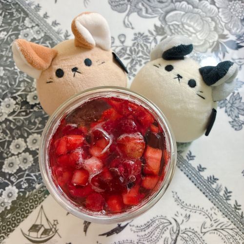 「ねえねがベリーティーソーダを作ってくれたわ。夏の午後を堪能したの」
『ちーごっ！！！』