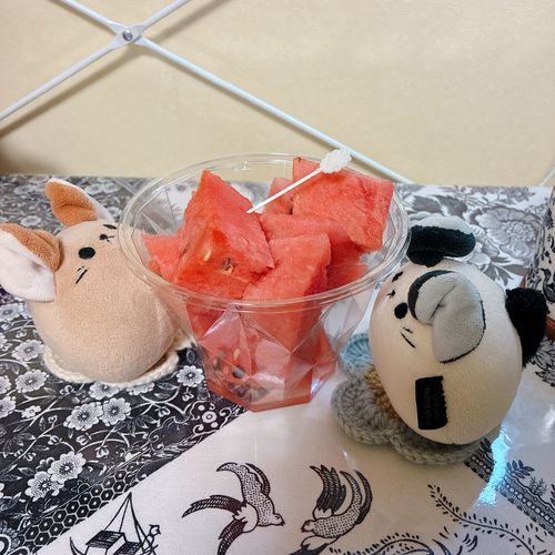 「昨日はスイカを食べたわ。初めて食べたの。甘くてさっぱりで美味しいわね。」
『ごち、たねごっくんした！』