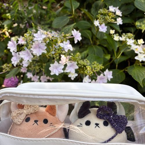 「なんだか可愛いフリルみたいな紫陽花よ。うチラに似合ってるわ」