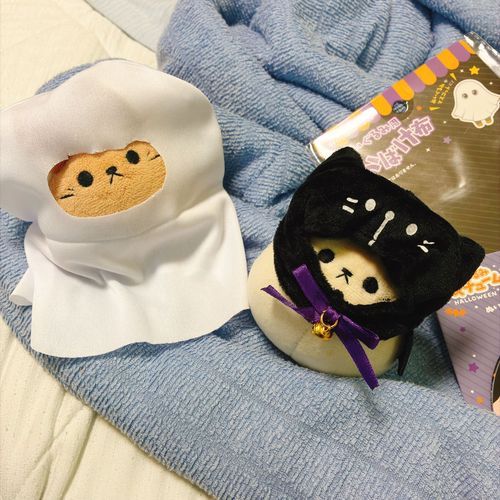 「最近ねえねが買ってきてくれたの。どうやら巷でオバケと猫の格好をしたチンチラが流行ってるみたいで、私たちも流行りに乗ってみたわ。どうかしら？」
『チリンチリン！にゃんちゃんなの！』