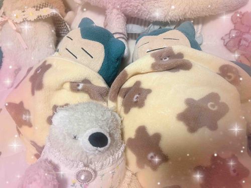 カビゴンが仲良く寝ているよ📷ﾊﾟｼｬ