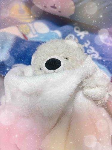 毛布だいすき🐻‍❄️