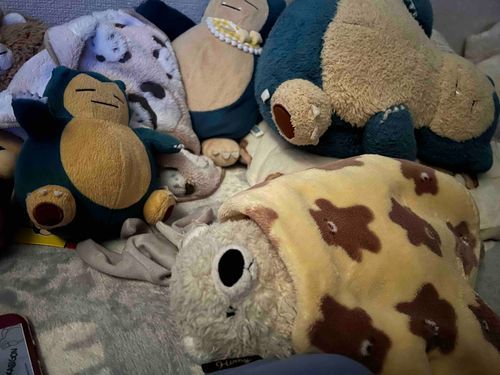 おはよ。
人間に抱っこされて寝てたけど潰されたよ🐻‍❄️💢
くまごんはあまり眠れなかった🐻‍❄️
布団が飛んで行ってないだけマシかな
カビゴンたちも転がっているね