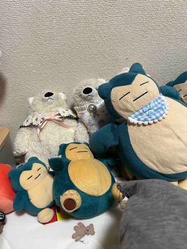 カビゴンが寄りかかってきてテレビ見えないよー🐻‍❄️💦
