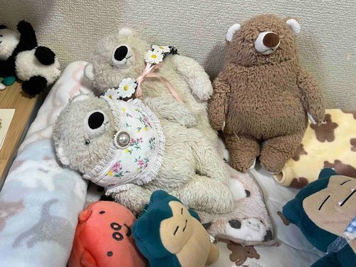 毛布をくるくる巻いて、枕にしてもらったよ
すずしい部屋でお昼寝💤