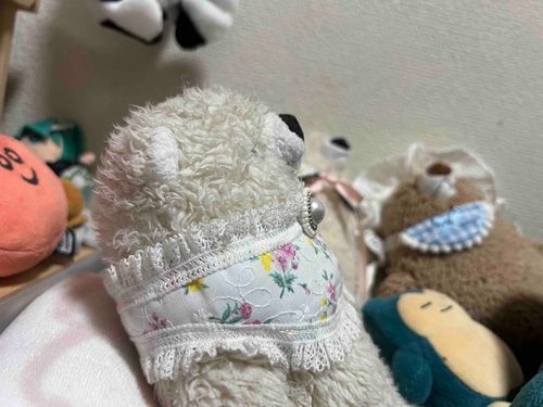 横顔撮られた🐻‍❄️
今日人間が電気付けっぱなしで寝てたから眠れなくてボーッとしてたよ😐暇