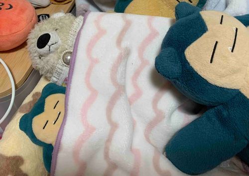 ぐーぐー🐻‍❄️💤寒くて起きれない
チビカビは横でなぜか笑顔