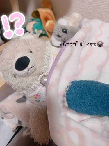 起きたら知らないコアラがひっついて来た！
