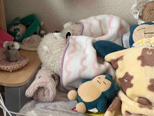 ちょうどいい気温だね
窓開けて布団かけてみんなでお昼寝💤しあわせだ🐻‍❄️