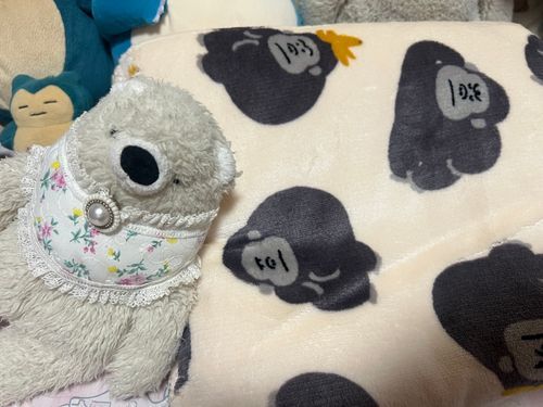 ごりら
かわいくてふわふわのブランケット🐻‍❄️