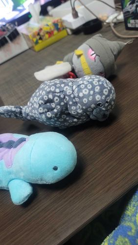 みんなでのざらし あざらし