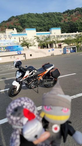 修理してたトレーナーのツガイのバイクが帰ってきたから
今日はバイク ペもライダースタイル
トヨタはほわほわのひよっこだから走る時はバッグにいなさい