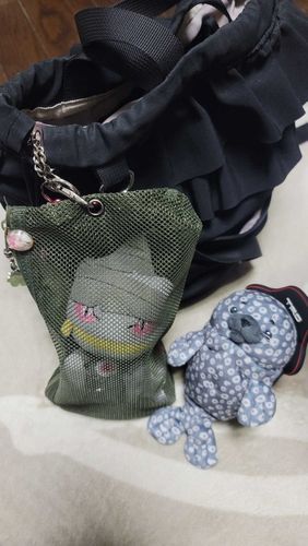 ぺの連れ歩き方法が変わッタ
なんかオリみたい