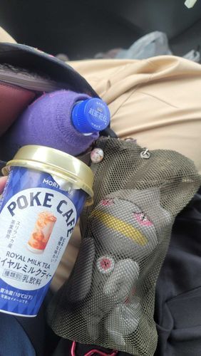 今日から9月 もう秋だ
風もひんやり涼しくなってきタね
小さい秋を探さなきゃ