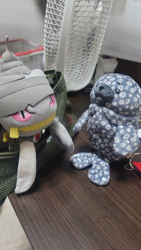 今日はトレーナーがしんどそう
…と、おるすばんトヨタに報告