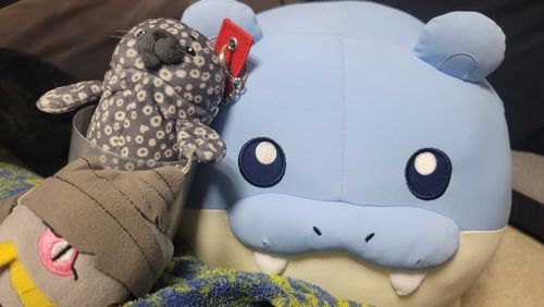 ゼニガタアザラシとタマザラシ
…と、ぺ