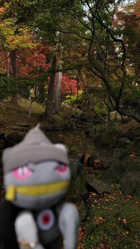 そして紅葉🍁…のはずなんだけど
今年はどこもあんまり綺麗に紅葉してないみたい
