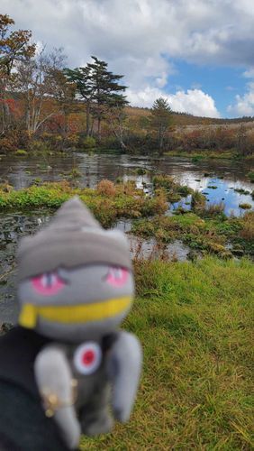 ぬま
天気がいいから空が映ってきれい