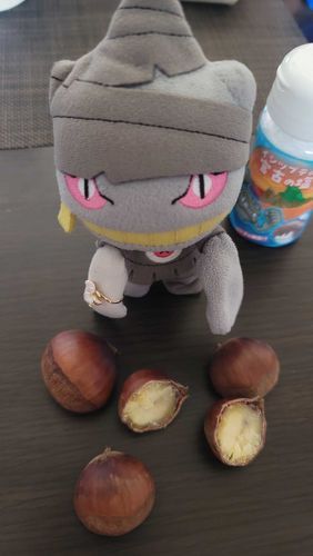 いただき物のくり！頭がとがっててペに似てる
塩をかけるとクセになる…みたい
