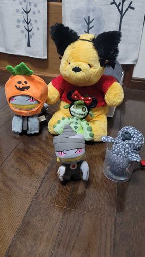 ハッピーハロウィン🎃
るすばん組（一部）と仮装して撮ってみタ！トヨタはちょっぴりこわいみたい