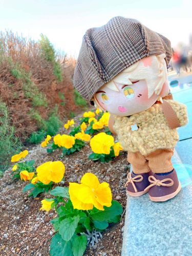 こっちはきいろのおはにゃ！いっぱい咲いてたにゃ🌸