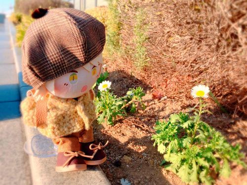 おはにゃみつけるの得意にゃ!!